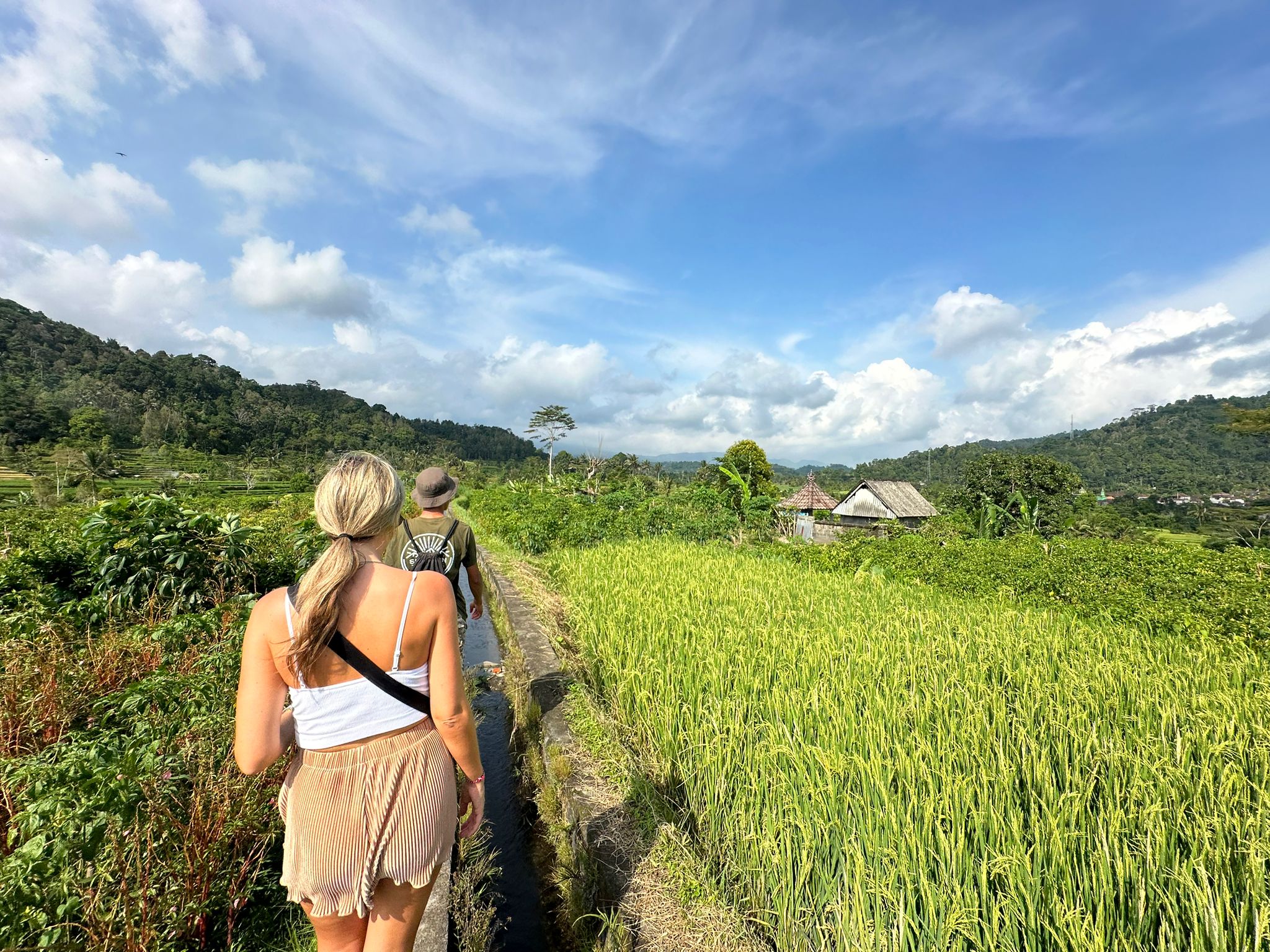 trekking sidemen and ricefield view and tour