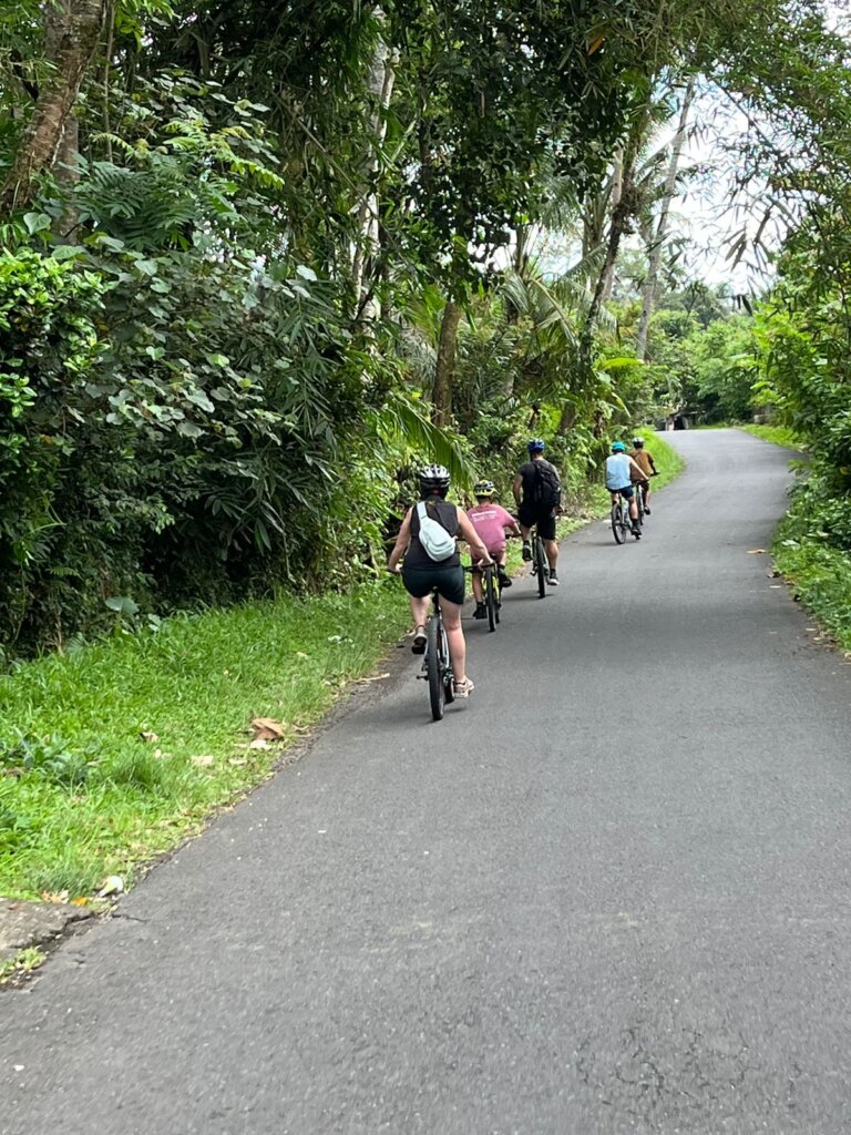 bali top activity sidemen chycling tour