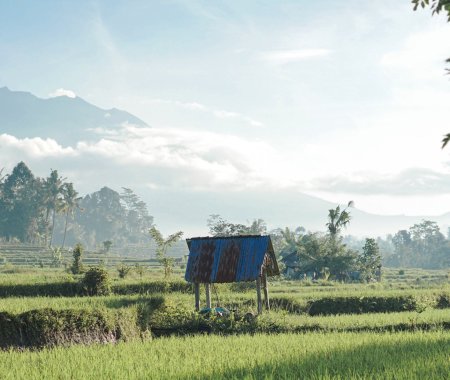 Sidemen bali tour trekking