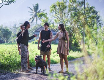 Destinations bali tour guide local