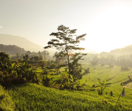 sidemen trekking bali top activity