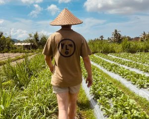 sidemen explore rice fields