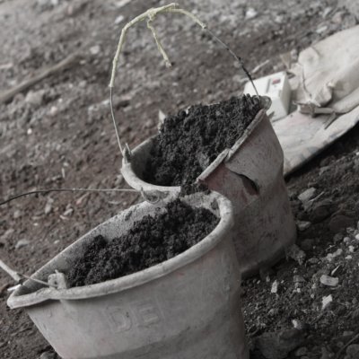 WhatsApp Image 2026-03-01 at 09.23.25